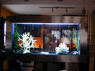 Creative fish tank design