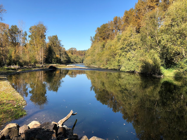 Scenic photo of a calm river in Washington