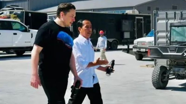 Elon Musk dan Jokowi