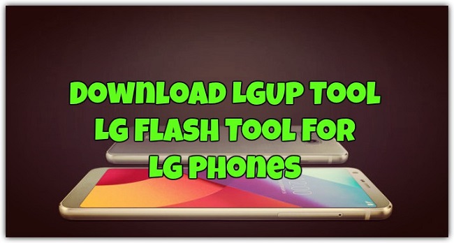  I mean seriously have you seen anyone in love with bugs and doing show Download LGUP Tool Latest Version for Free {2018 Updated}