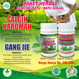 Resep Obat Alami penghancur batu ginjal Yang Aman Dan Murah