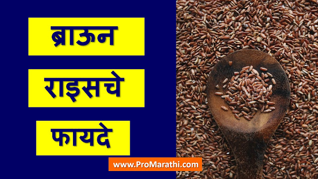 Brown Rice Benefits in Marathi