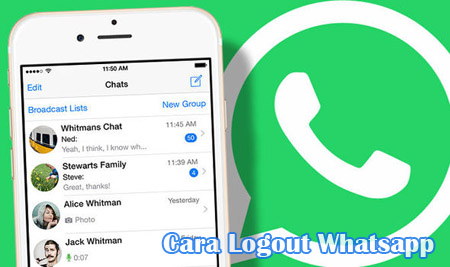 tips Logout Whatsapp di hp android