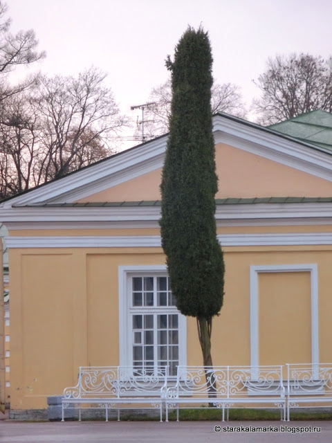 Екатерининский парк, Екатерининский дворец, Пригороды Петербурга