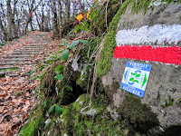 Alta Via del Golfo