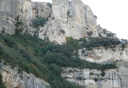 LUMBIER 2013 015
