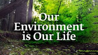 Environment : Be Pure Be Natural