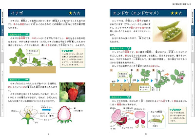 植物図鑑のサンプル