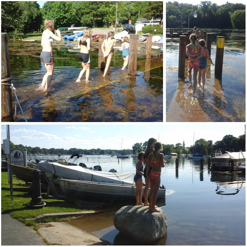 deephaven fish 1