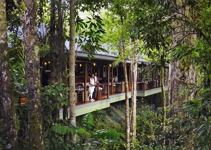 10 Hotel di  Tengah Hutan yang  ada di  Dunia Cocok Untuk 