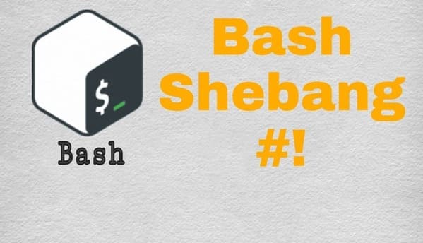 Bash Shebang, Bash Script Shebang