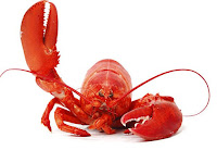 10 Manfaat Dari Makan Lobster Untuk Kesehatan