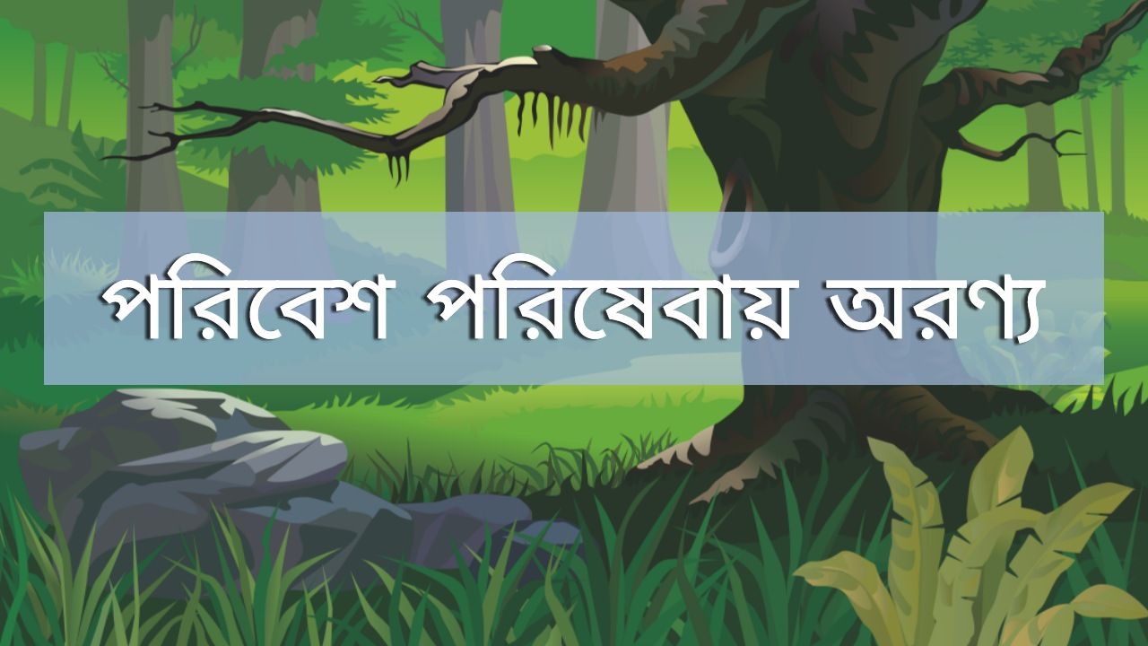 পরিবেশ পরিষেবায় অরণ্য প্রবন্ধ রচনা | Forest Essay on Environmental Services