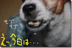 今日カズ０９１２１２　２