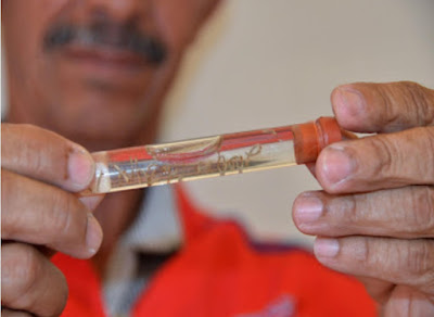 Saúde volta a alertar alagoanos sobre medidas de prevenção contra a dengue
