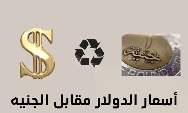 سعر الدولار اليوم في البنوك المصرية