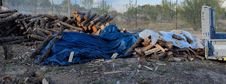 Cut log pile outside is covered