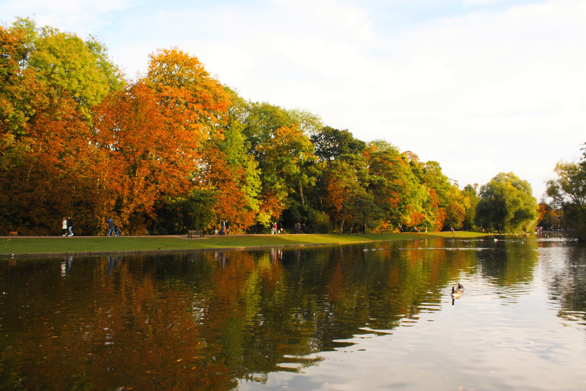 Autumn colours