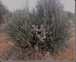 2014-01-19 14.56.09
