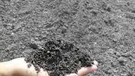 Tips Memilih Pasir yang Baik untuk Material Konstruksi