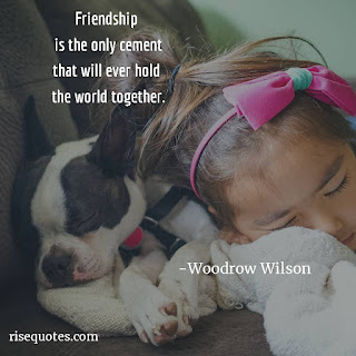 Friendship Quotes With Images