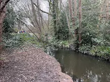 River Beck up close
