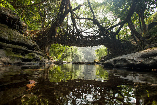 Mawlynnong-Romantic Destination in Meghalaya