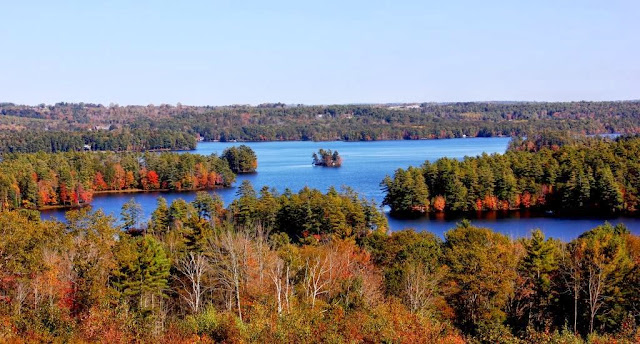 Damariscotta Lake foliage