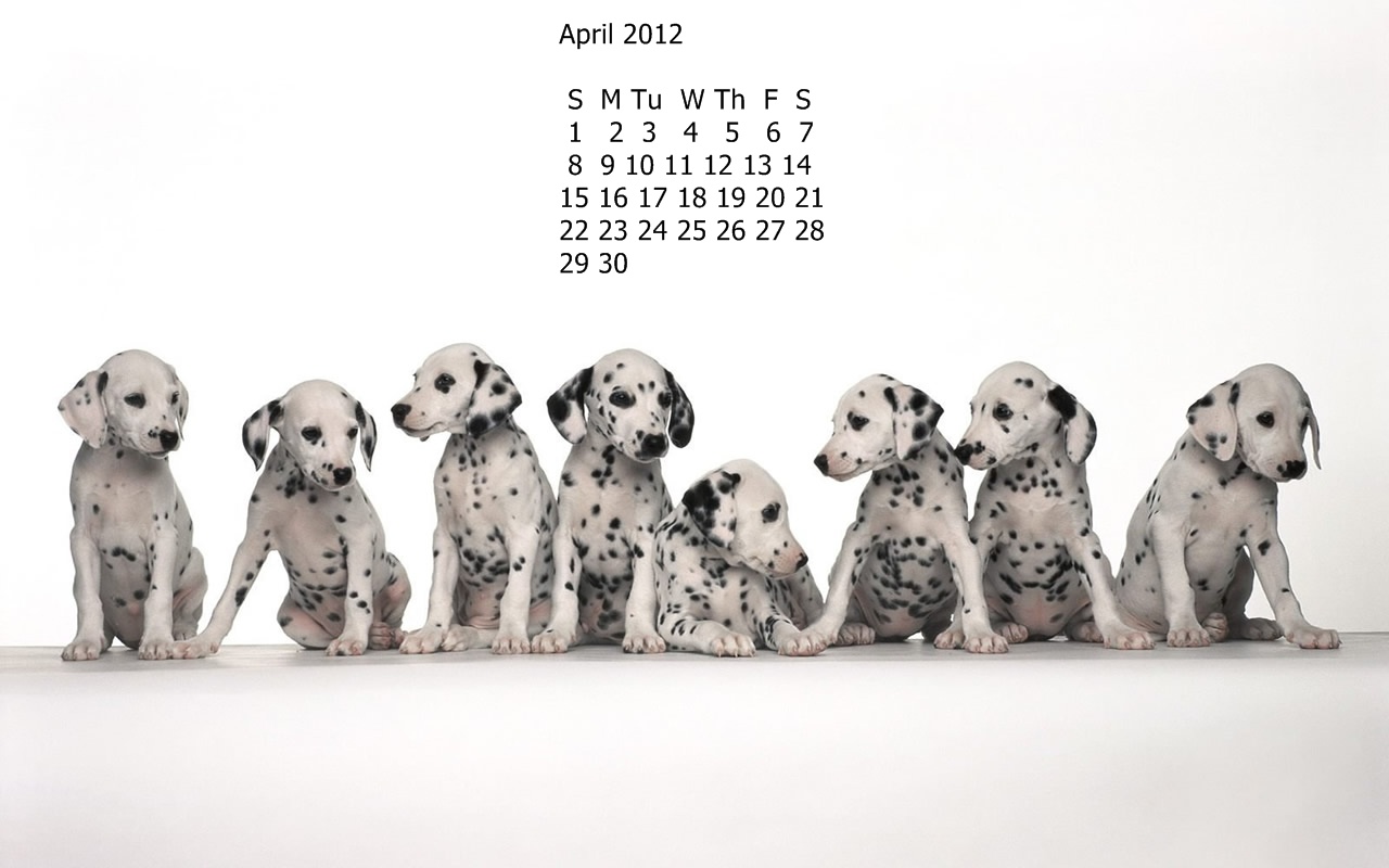 Imagini Desktop Poze Wallpapers: Calendar 2012 pentru desktop