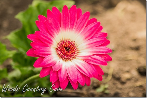 JUNE 2016 (8 of 48)