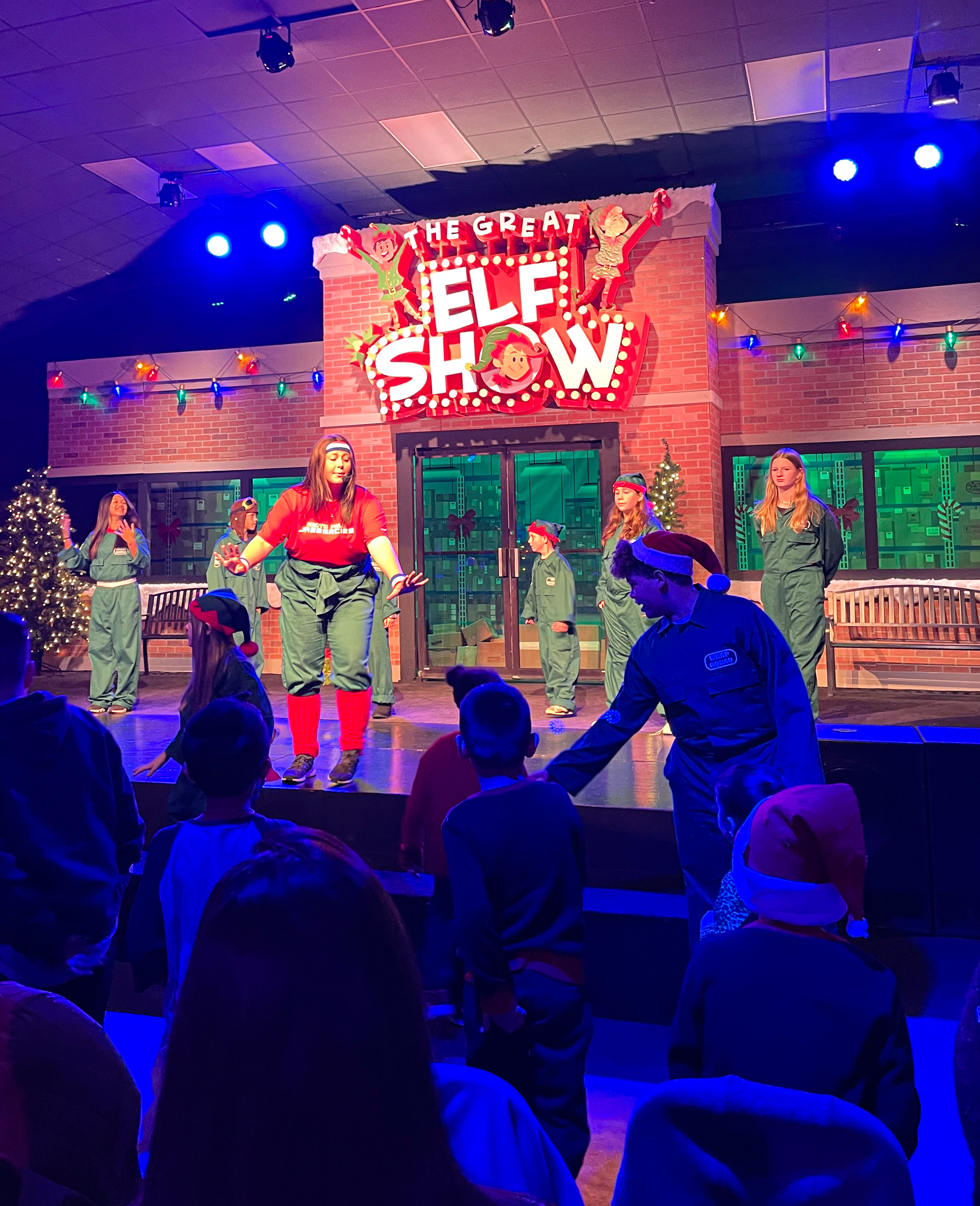 The Great Elf Show at Christmas Train