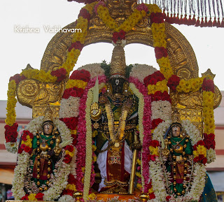 MadhaPurppadu,Thai,Ekadesi,Vaibhavam,Dharisanam, Sri PArthasarathy Perumal, Perumal, Venkata Krishna , Varushotsavam, 2018, Video, Divya Prabhandam,Triplicane,Thiruvallikeni,Utsavam,