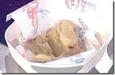 Cardi ripieni e fritti