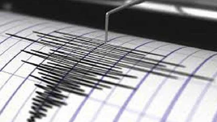 Gempa M 4,6 Terjadi di Mamasa