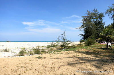 Pesisir pantai