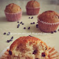 Chocolate Chips Muffin