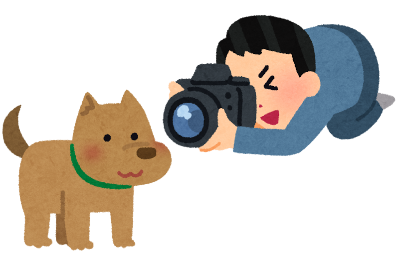 無料イラスト かわいいフリー素材集 犬の写真を撮る人のイラスト