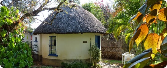 P1000272