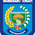 Logo Kabupaten Mamberamo Tengah 