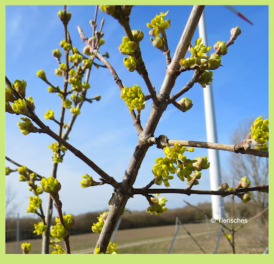 Es ist endlich Frühling