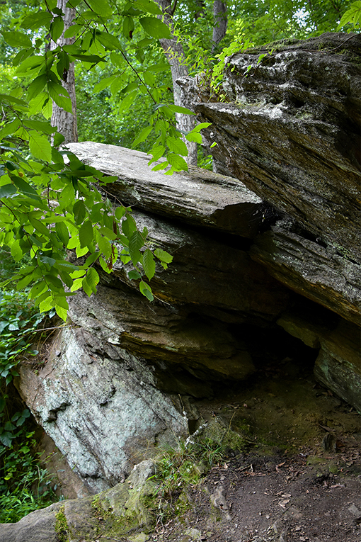 East Palisades Trail | Photo by Travis Swann Taylor