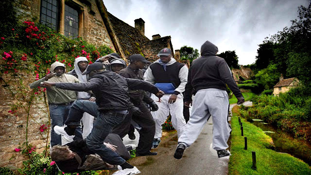 AFRICAN GANGS RAMPAGE, IRISH AUTHORITIES WORRY ABOUT NON-EXISTENT VIGILANTES