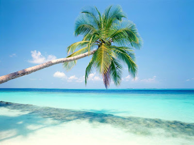 tropical wallpaper. Beautiful Beach Wallpaper