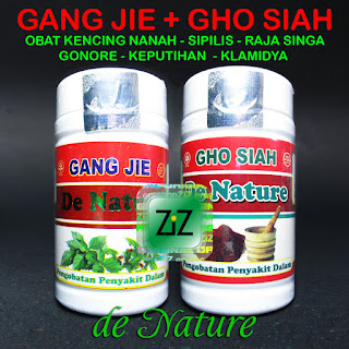 Obat Sipilis Asli