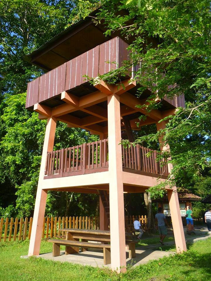 Menara pandang di Sadengan, Taman Nasional Alas Purwo
