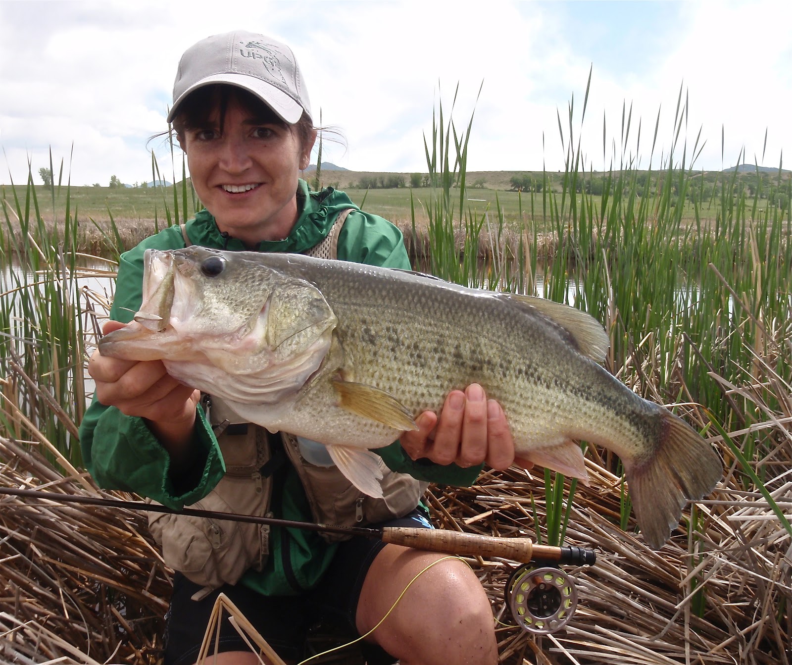 Texas Fly Fishing: My Top Bass Flies 