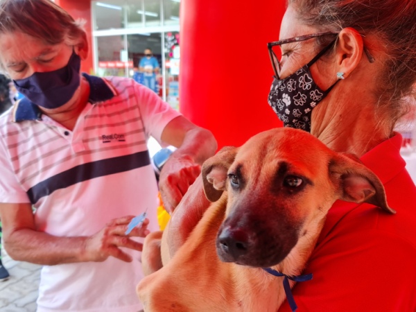 Censo Canino e Felino é iniciado em Crato.