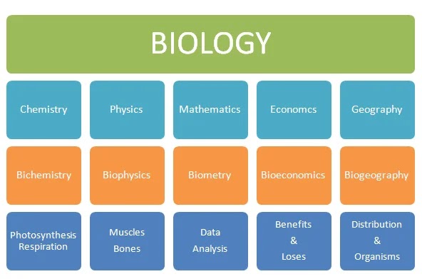 The Simple Definition of Biology | Relationship of Biology to other Sciences