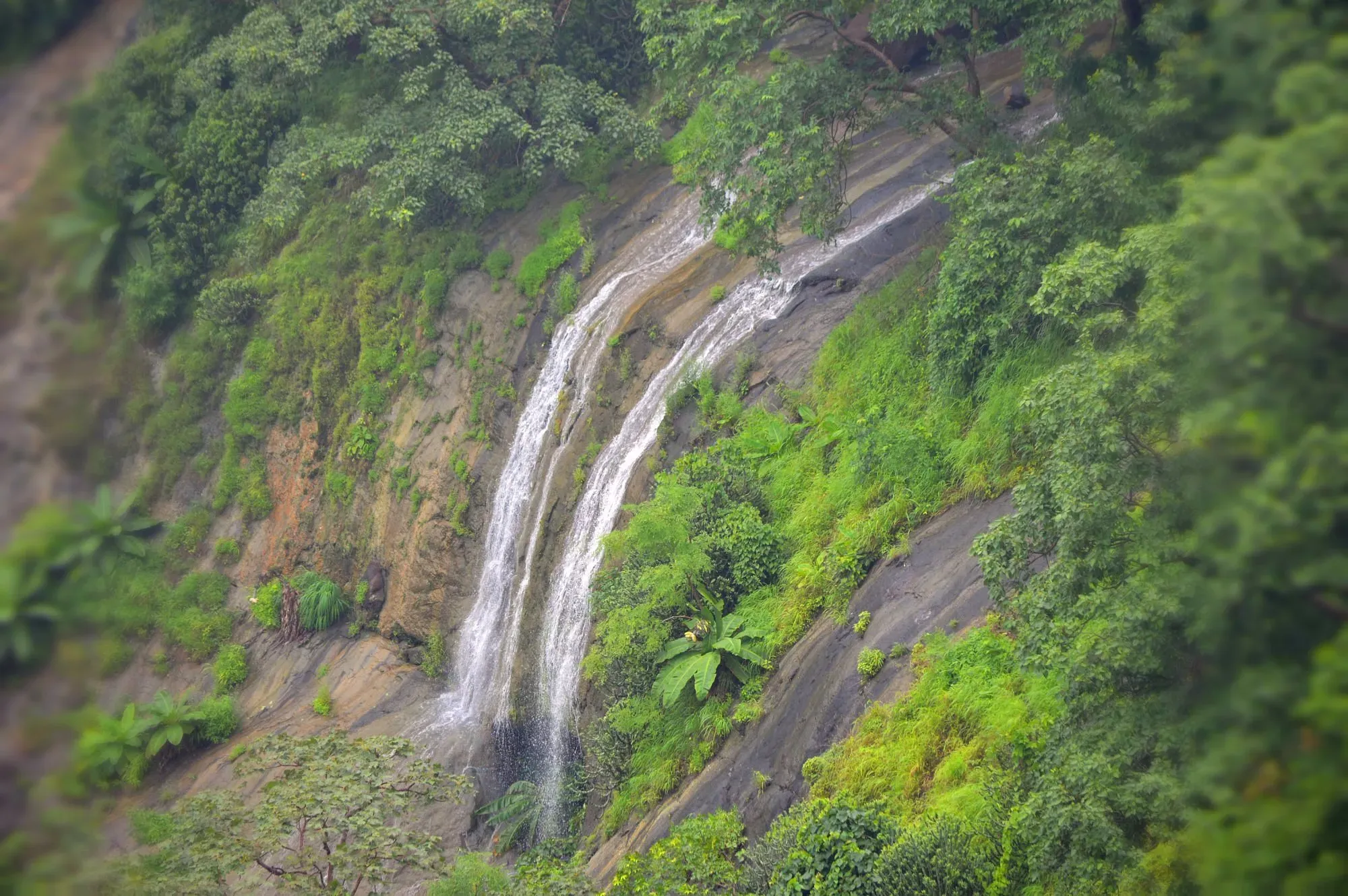 Gautala Wildlife Sanctuary photos