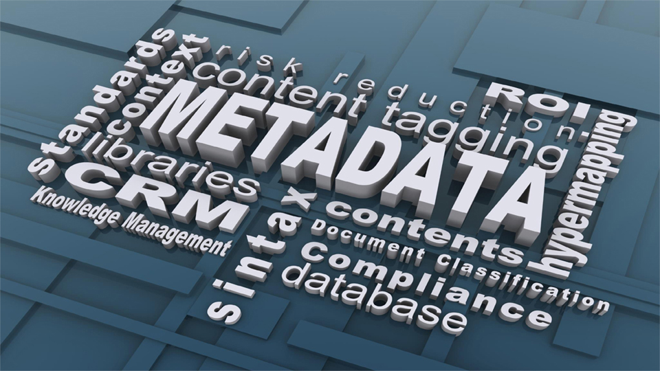The Importance of Metadata in SEO